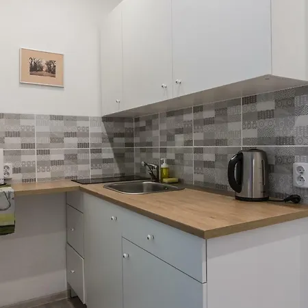 アパート Apartament Bielska 77 *
